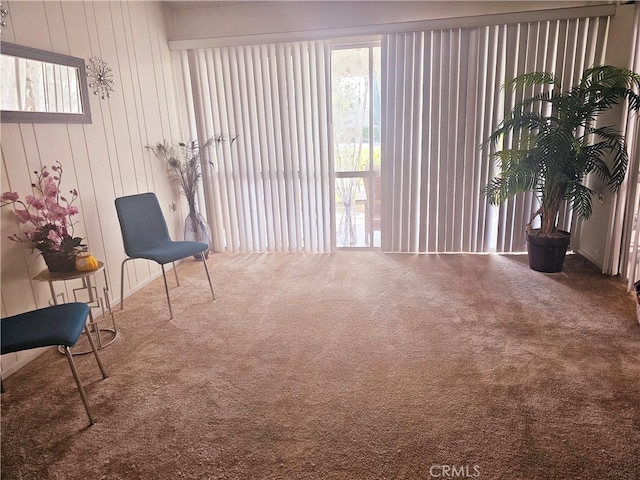 sitting room featuring carpet and a wealth of natural light