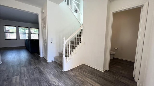 stairway featuring hardwood / wood-style floors