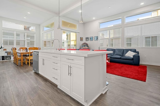 2013 Bravo Loop Unit 5, Chula Vista, CA 91915 - kitchen featuring dark wood-type flooring, plenty of natural light, stainless steel dishwasher, light countertops, and recessed lighting