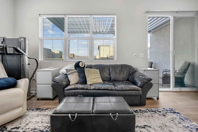 2013 Bravo Loop Unit 5, Chula Vista, CA 91915 - living room featuring wood finished floors