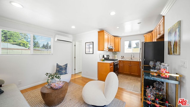 kitchen featuring sink, crown molding, light hardwood / wood-style flooring, an AC wall unit, and appliances with stainless steel finishes