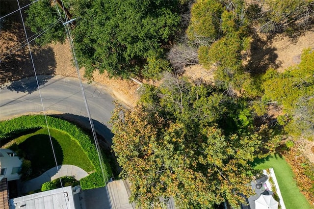 3701 Avenida Del Sol, Studio City, CA 91604 - photo 15