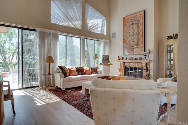 living room featuring a high ceiling and light hardwood / wood-style flooring