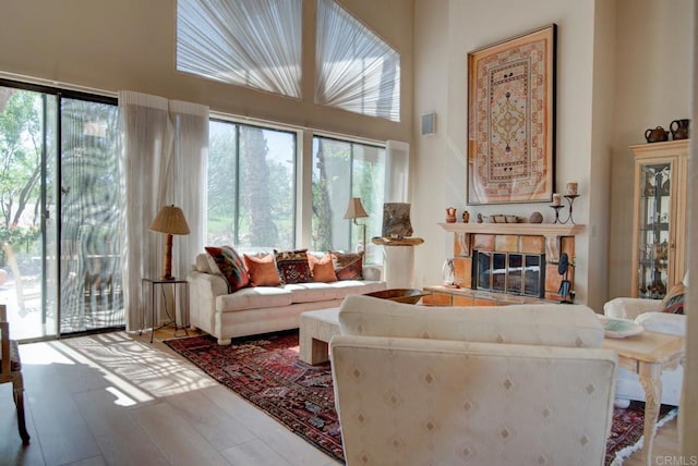 living room with a high ceiling and hardwood / wood-style floors