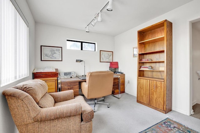 carpeted office with rail lighting