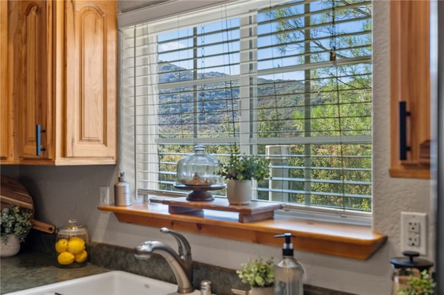room details with a sink