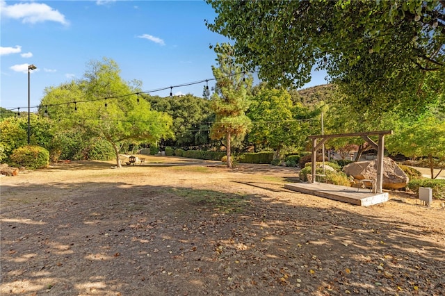 view of yard