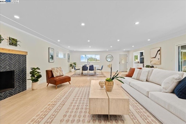 living room with crown molding, a fireplace, and light hardwood / wood-style floors