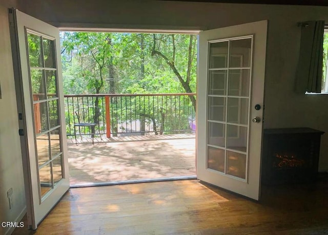 doorway featuring a healthy amount of sunlight, wood-type flooring, and french doors