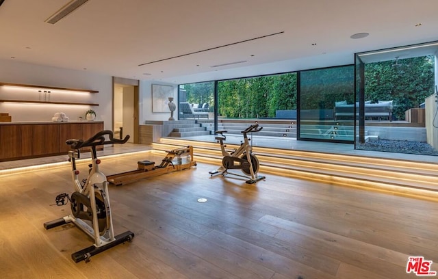 exercise area with a wall of windows and light hardwood / wood-style floors