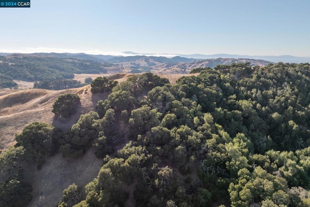 drone / aerial view with a mountain view