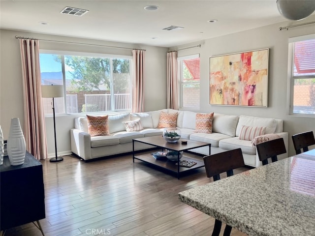 living room featuring hardwood / wood-style flooring and plenty of natural light