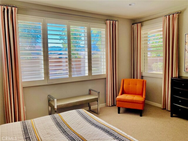 bedroom featuring multiple windows and carpet floors