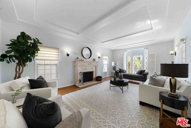 living room with hardwood / wood-style floors