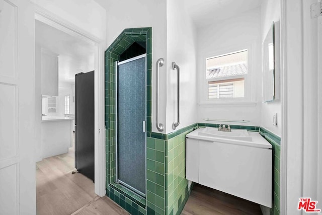 bathroom featuring walk in shower and vanity