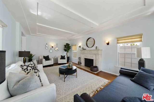 living room featuring a premium fireplace and hardwood / wood-style floors