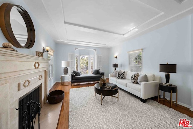 living room with a fireplace, wood-type flooring, plenty of natural light, and a raised ceiling