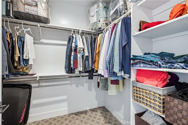 view of spacious closet