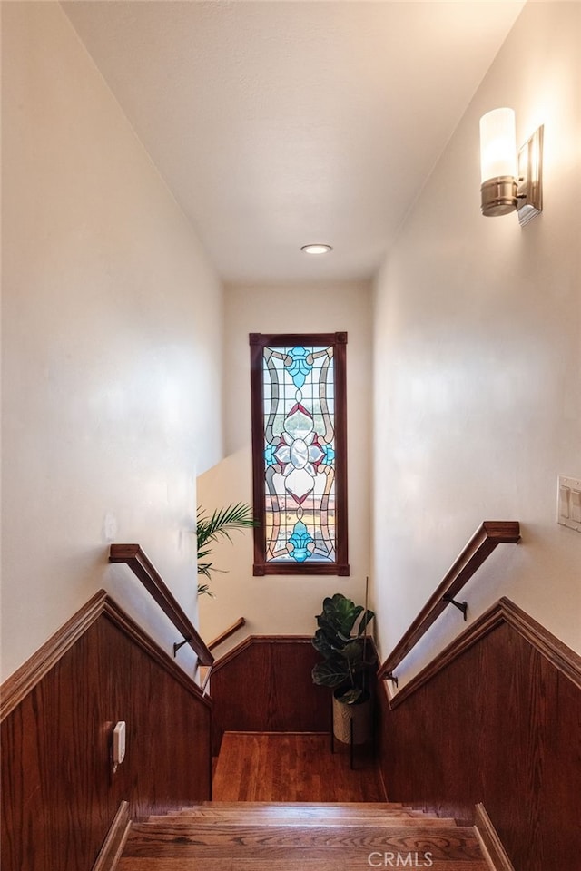 stairway with a wainscoted wall, wood finished floors, and wooden walls