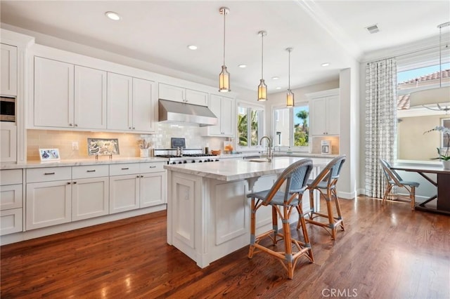 kitchen with white cabinets, pendant lighting, an island with sink, and dark wood-type flooring