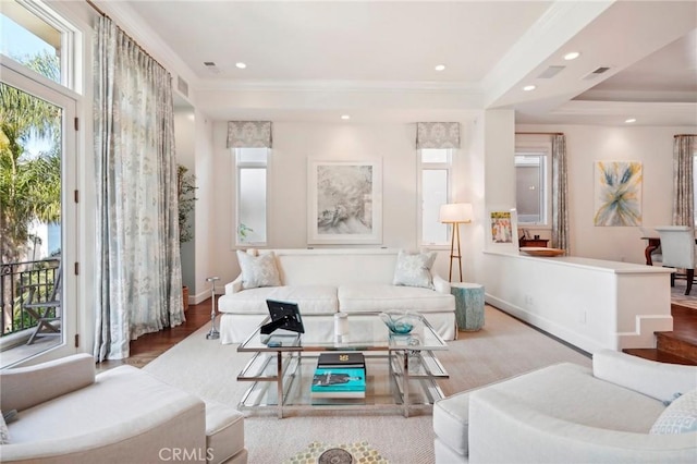 living room featuring a raised ceiling and light hardwood / wood-style floors