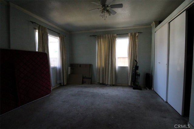 unfurnished bedroom featuring carpet, multiple windows, crown molding, and ceiling fan