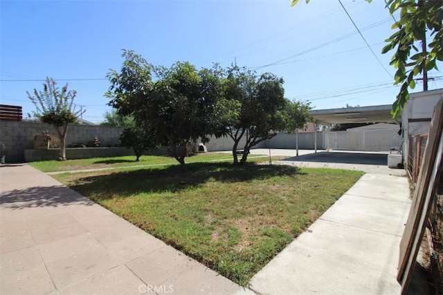 view of yard with a patio area