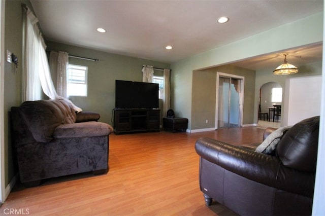 living room featuring wood-type flooring