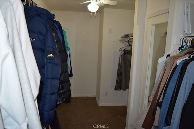 walk in closet featuring carpet flooring and ceiling fan