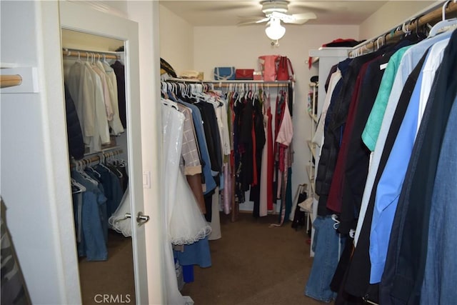 spacious closet with a ceiling fan and carpet flooring