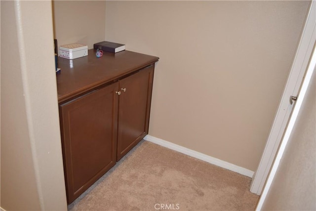 interior details with carpet and baseboards