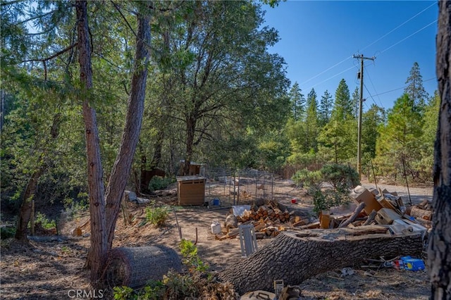 view of yard