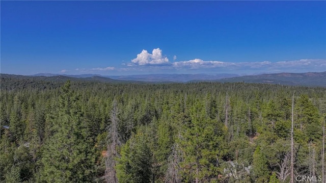 view of mountain feature with a forest view