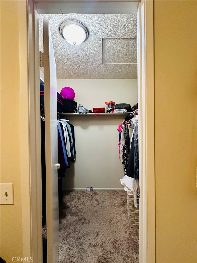 spacious closet featuring carpet floors