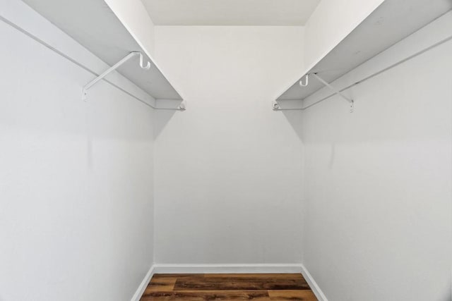 walk in closet with dark wood-type flooring