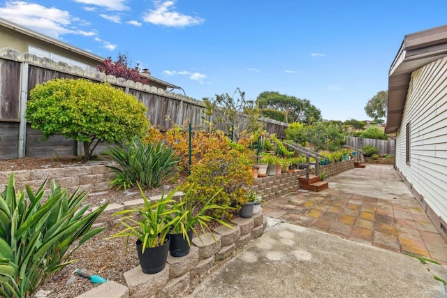 view of yard featuring a patio