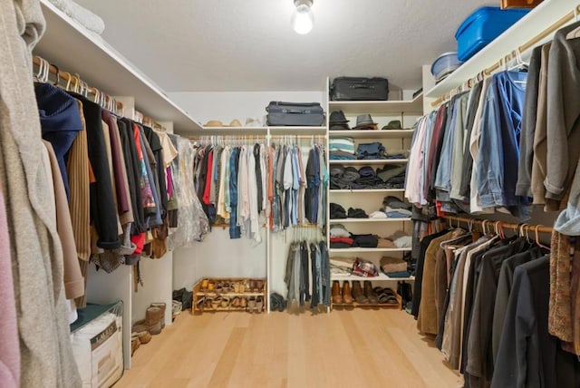 spacious closet featuring wood-type flooring