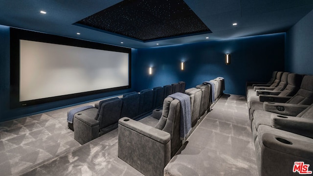 carpeted home theater featuring a raised ceiling