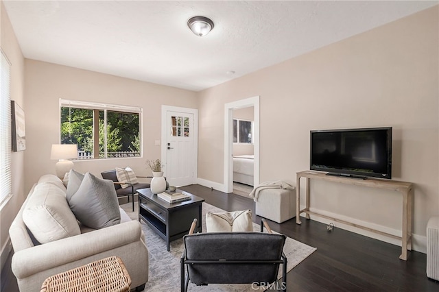 living room featuring dark hardwood / wood-style flooring