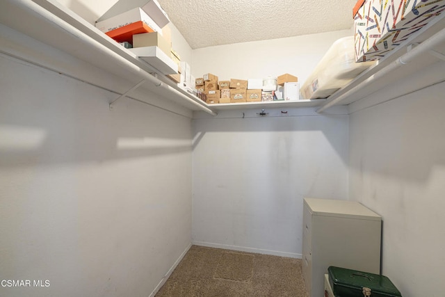 walk in closet featuring carpet