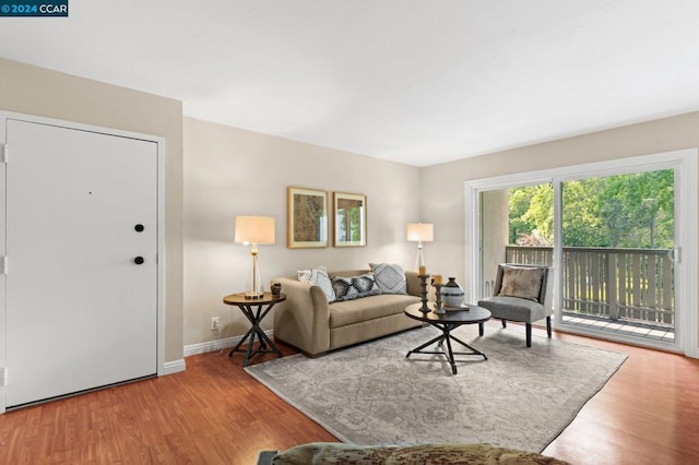 living room with wood-type flooring