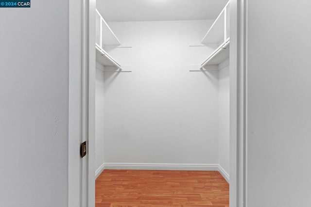 walk in closet featuring light hardwood / wood-style floors