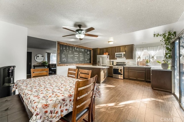 dining room featuring a textured ceiling, light hardwood / wood-style floors, and a wealth of natural light