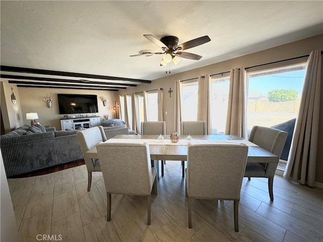 dining room featuring ceiling fan, beamed ceiling, a textured ceiling, and light hardwood / wood-style floors