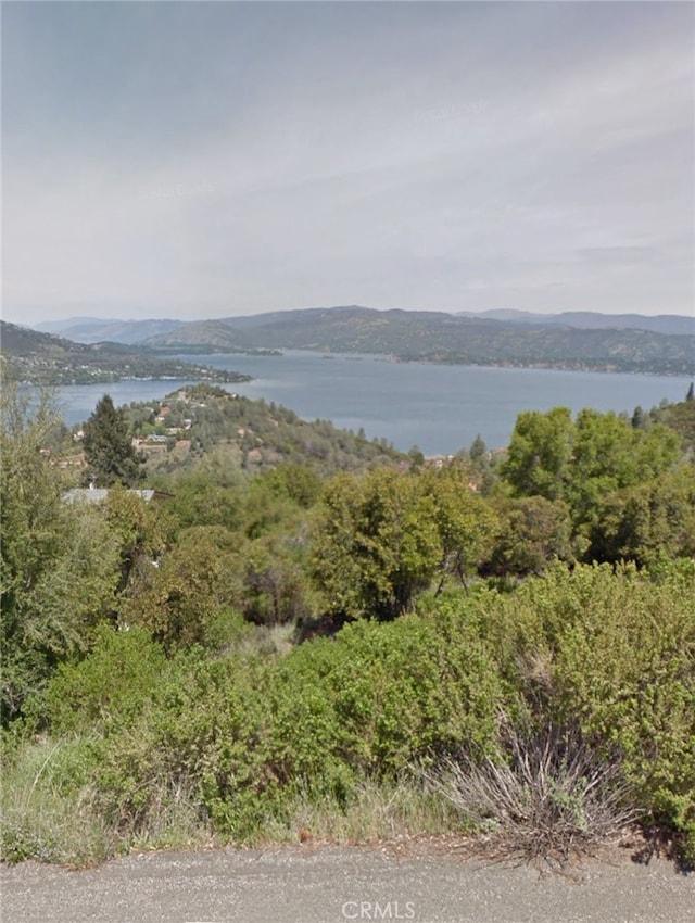 10098 Emerald Dr, Kelseyville CA, 95451 land for sale