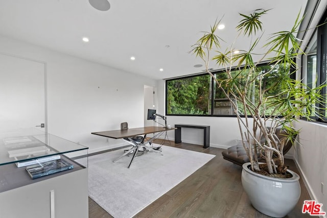 interior space with dark wood-type flooring