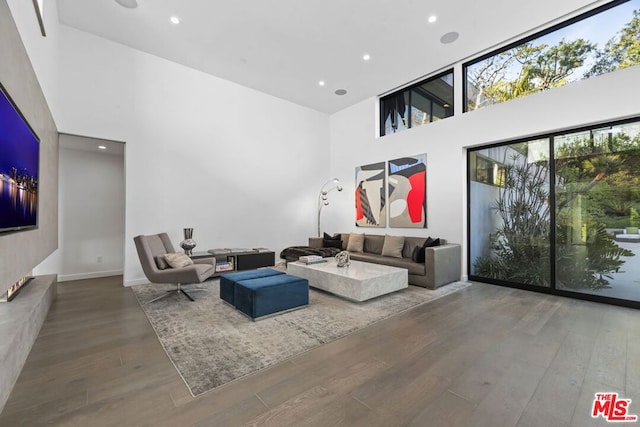 living room featuring a high ceiling and hardwood / wood-style flooring