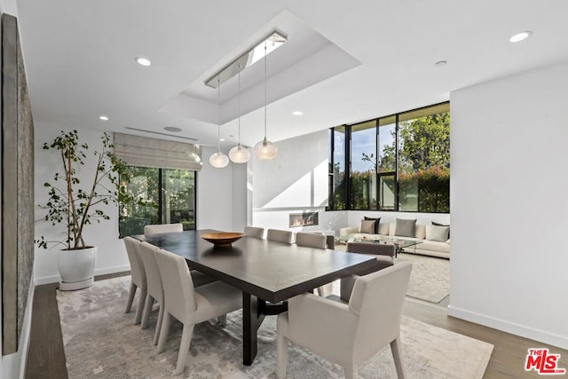 dining room featuring a raised ceiling and hardwood / wood-style floors