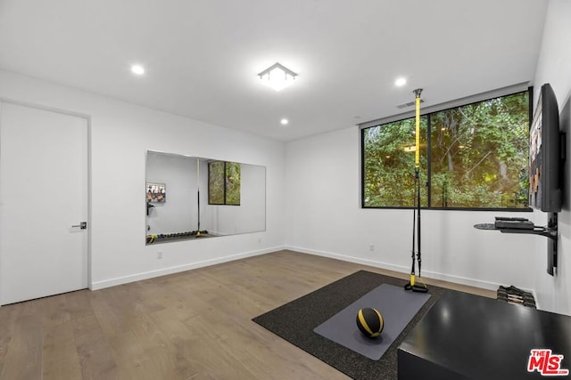 exercise room featuring hardwood / wood-style flooring