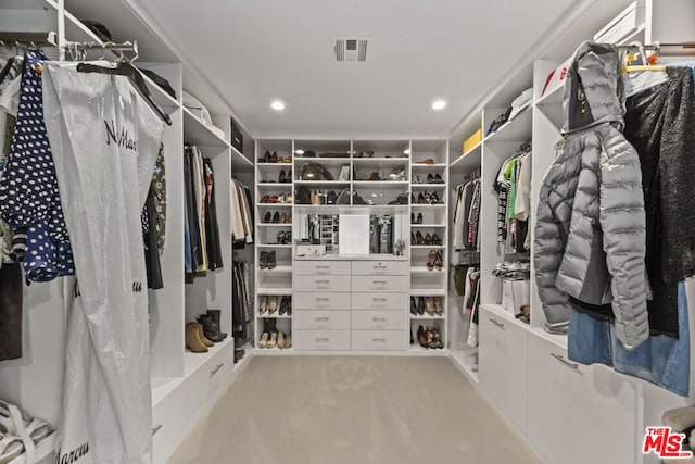 spacious closet with carpet floors